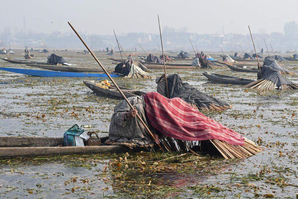 روش عجیب ماهیگیری در هند +عکس