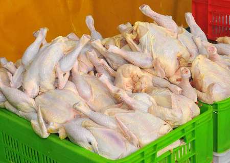 آغاز توزیع 30 تن مرغ یارانه ای در مهریز