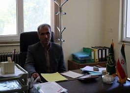 برداشت بیش از ۴ تن ماشک علوفه ای بهاره در شهرستان سنقروکلیایی