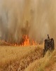 کشاورزان از آتش زدن پس‌چرای مزارع بعد از برداشت محصول خودداری کنند