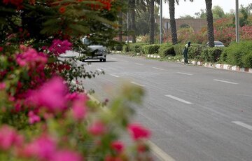 آراستگی معابر و نقاط مختلف شهری کیش در جزیره ای با چندبرابر سرانه ملی فضای سبز آراستگی معابر و نقاط مختلف شهری کیش در جزیره ای با چندبرابر سرانه ملی فضای سبز