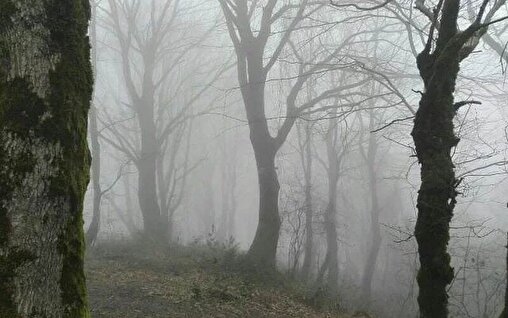 ایست قلبی، کوهنورد لاهیجان را در علیسرود از حرکت بازداشت ایست قلبی، کوهنورد لاهیجان را در علیسرود از حرکت بازداشت