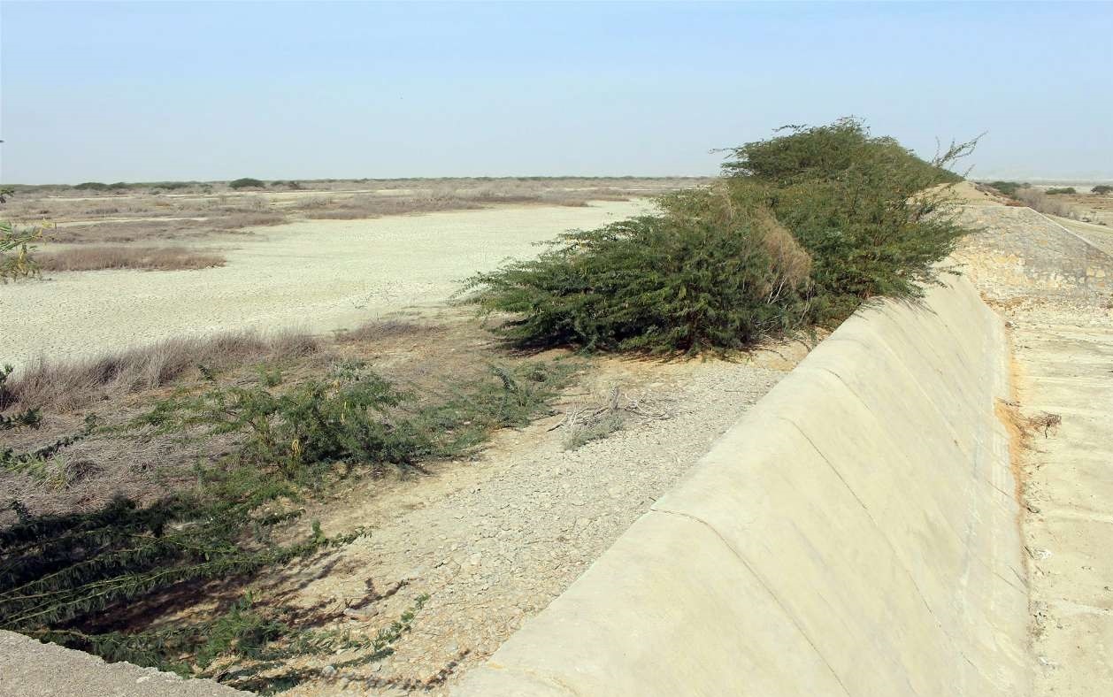 فرسایش و شوری خاک، چالش مهم کشاورزی در تربت حیدریه